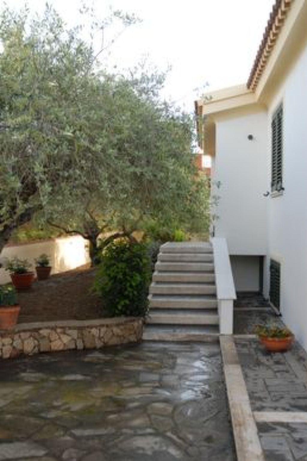 Casa degli Ulivi – Appartement 6 pers. à Cala Liberotto - Photo 4