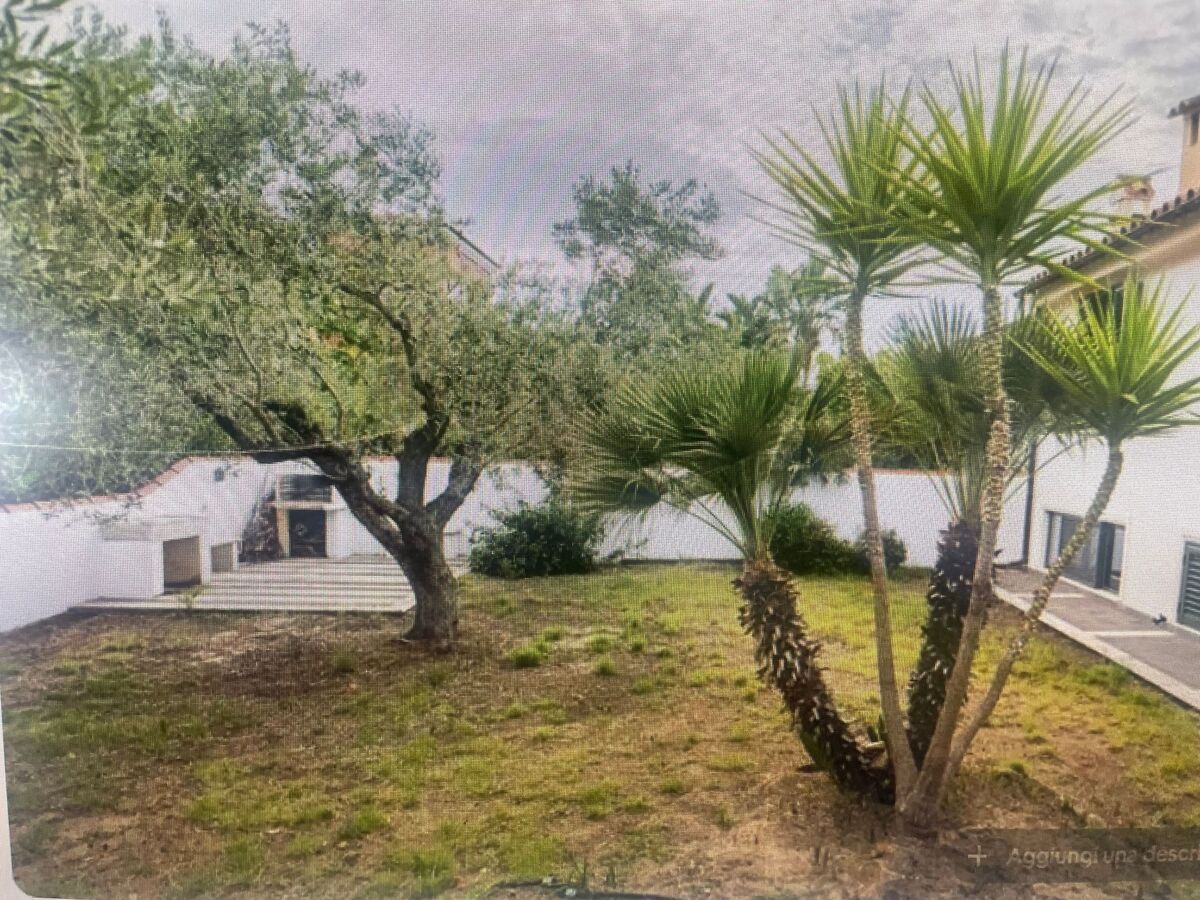 Casa degli Ulivi – Appartement 6 pers. à Cala Liberotto - Photo 23