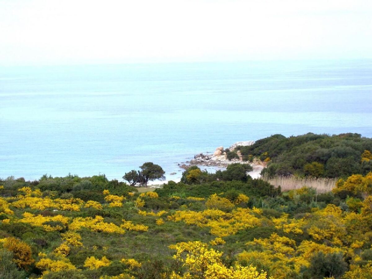 Appartement 2 chambres centre Tortolì, plages à 1,5 km - Photo 14