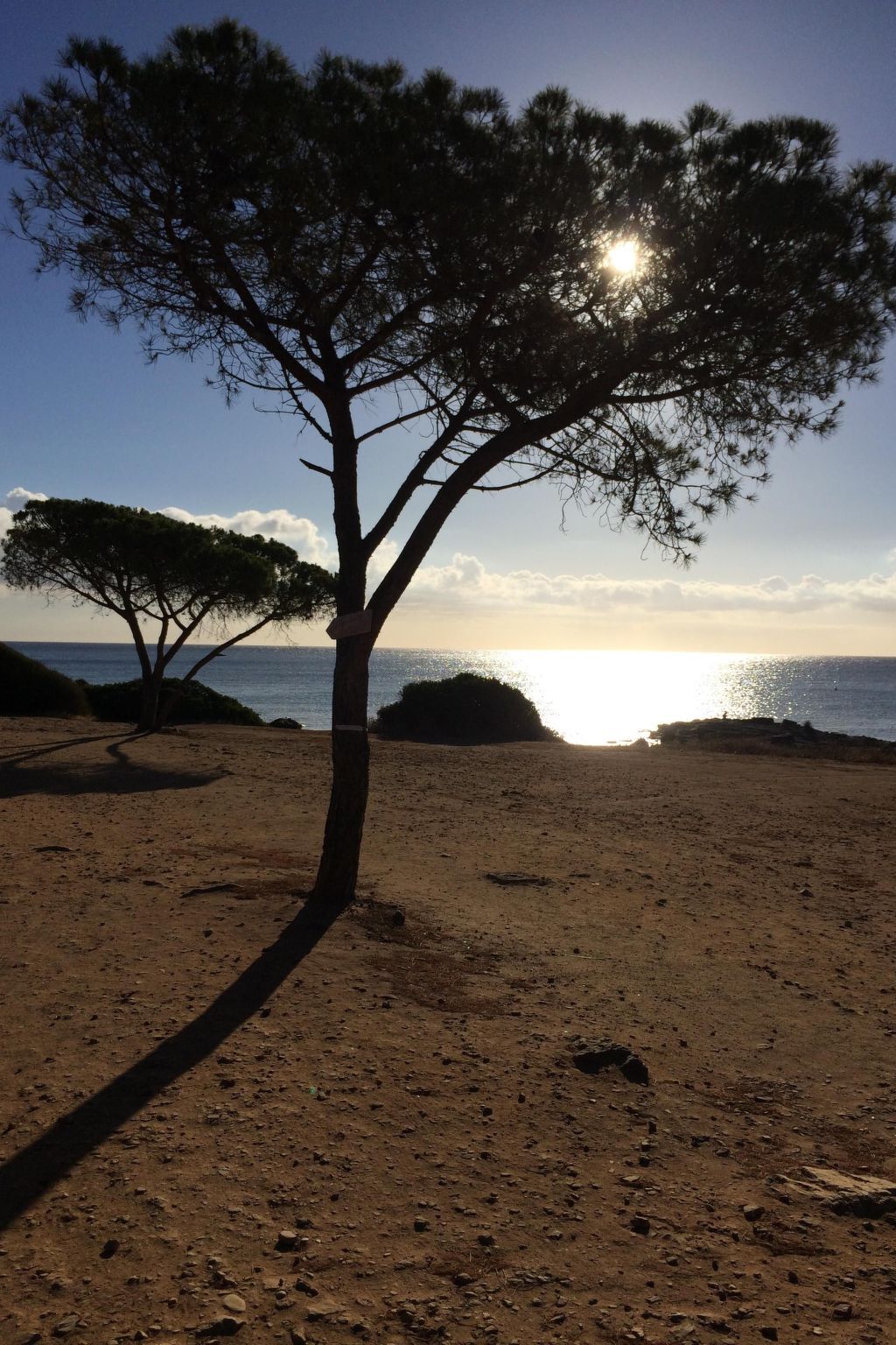 Maison avec cheminée à 300m de la plage, Porto Corallo - Photo 7