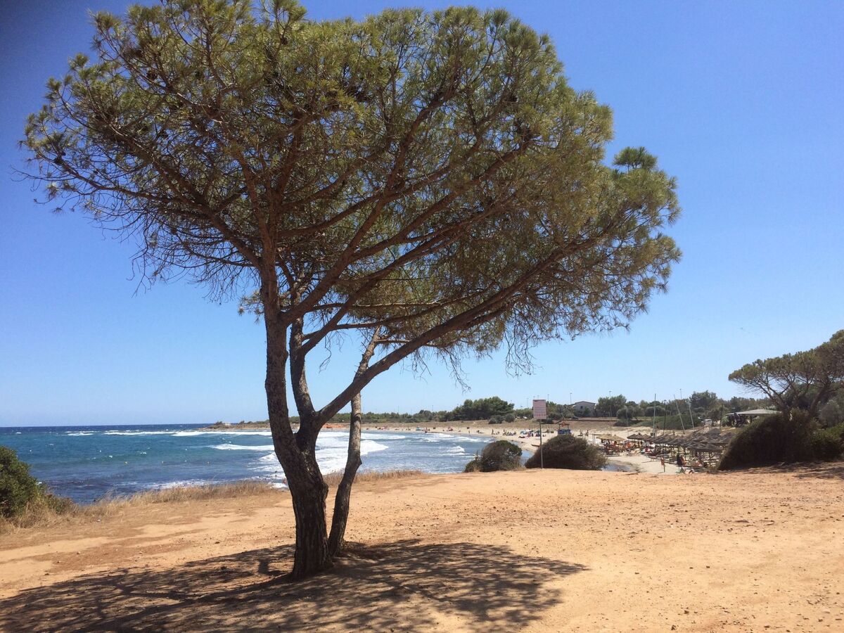 Maison avec cheminée à 300m de la plage, Porto Corallo - Photo 27