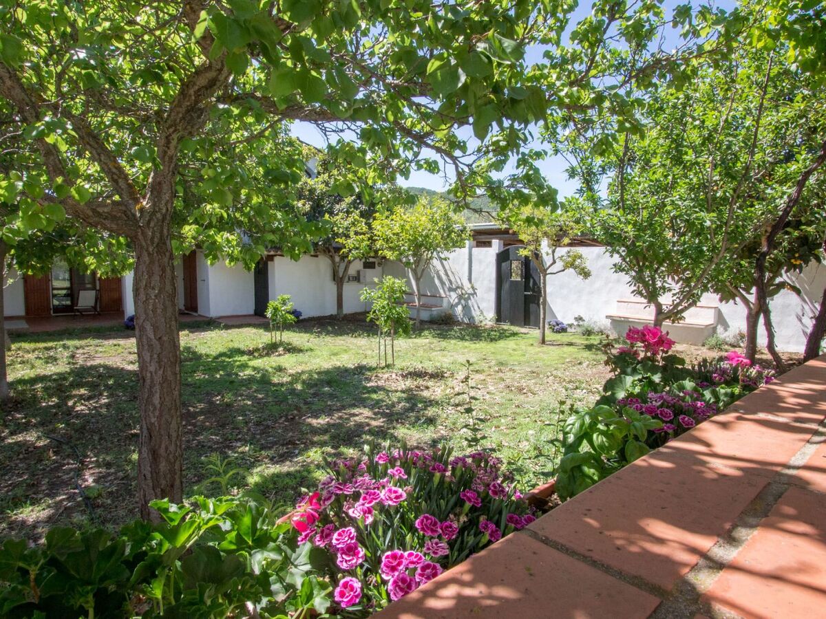 Casa Oleandro, maison éco-conçue adults-only à Castiadas - Photo 10