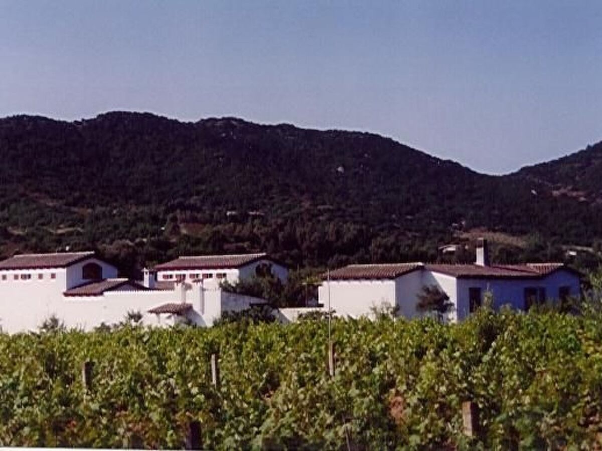 Casa Oleandro, maison éco-conçue adults-only à Castiadas - Photo 24