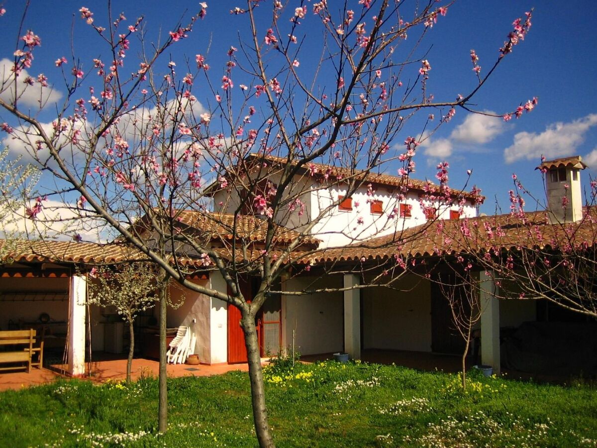 Casa Oleandro, maison éco-conçue adults-only à Castiadas - Photo 26