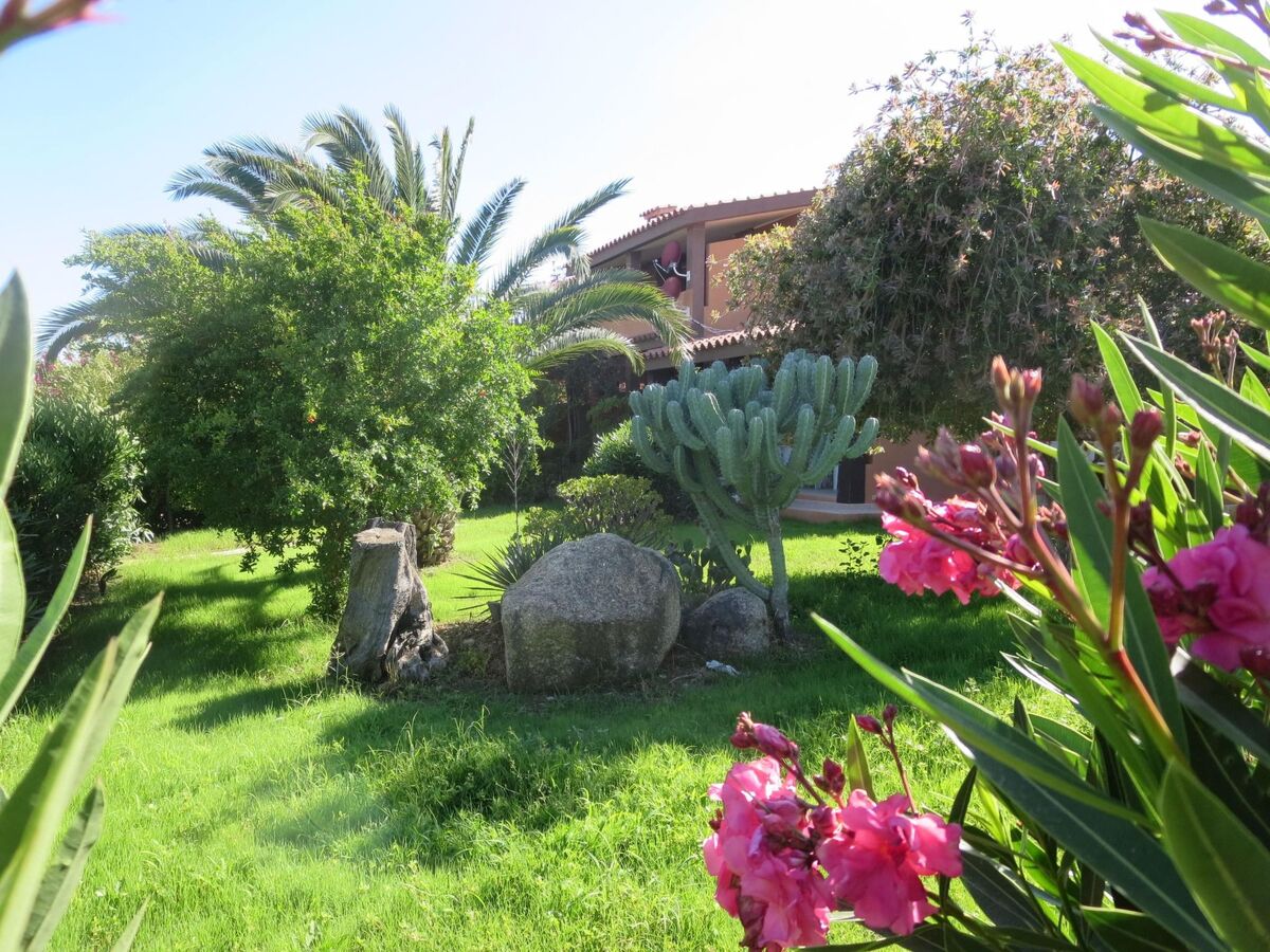 Appartement 6 personnes avec jardin privé à Costa Rei - Photo 5