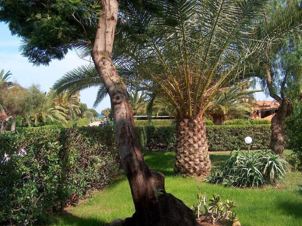 Casa Romana – Maison 7 pers. à 180 m de la plage - Photo 7
