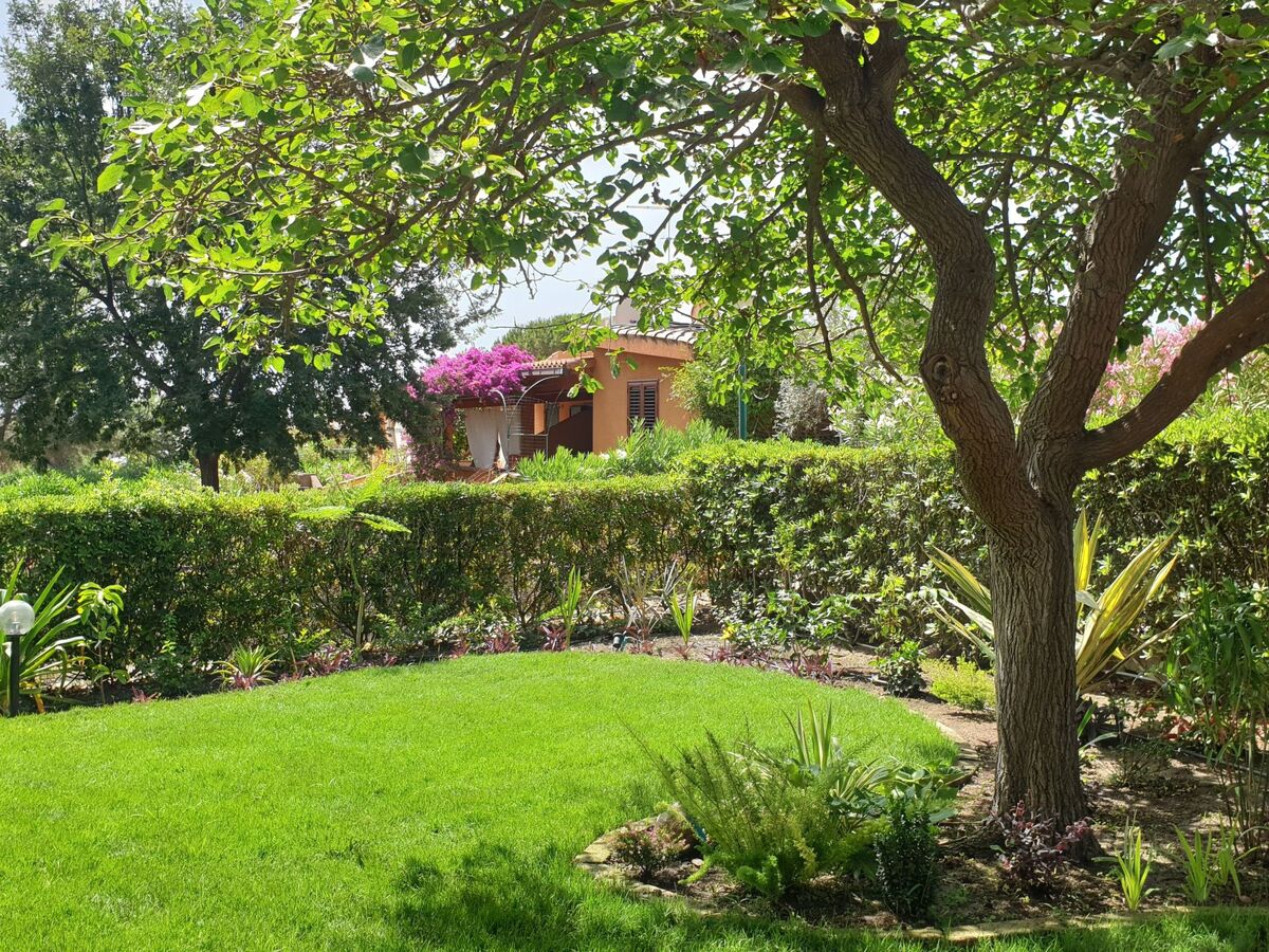 Appartement 6 pers. avec grand jardin à Costa Rei - Photo 7