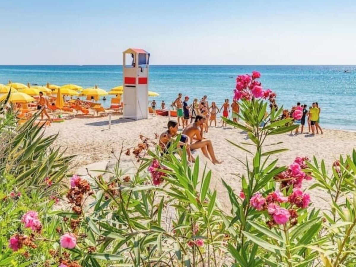 Studio Sardesidence à 100 m de la plage de Costa Rei - Photo 19