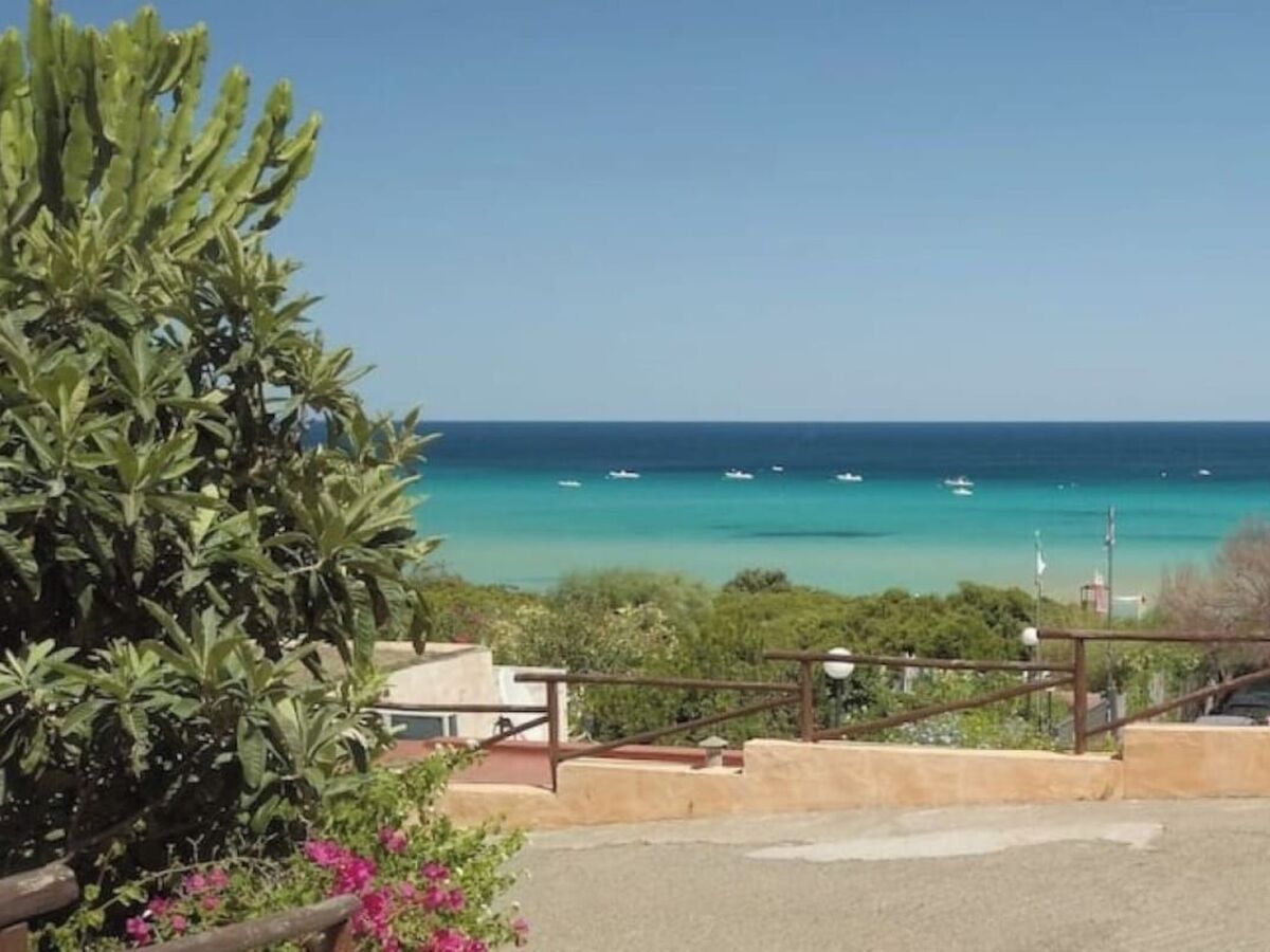 Studio Sardesidence à 100 m de la plage de Costa Rei - Photo 28