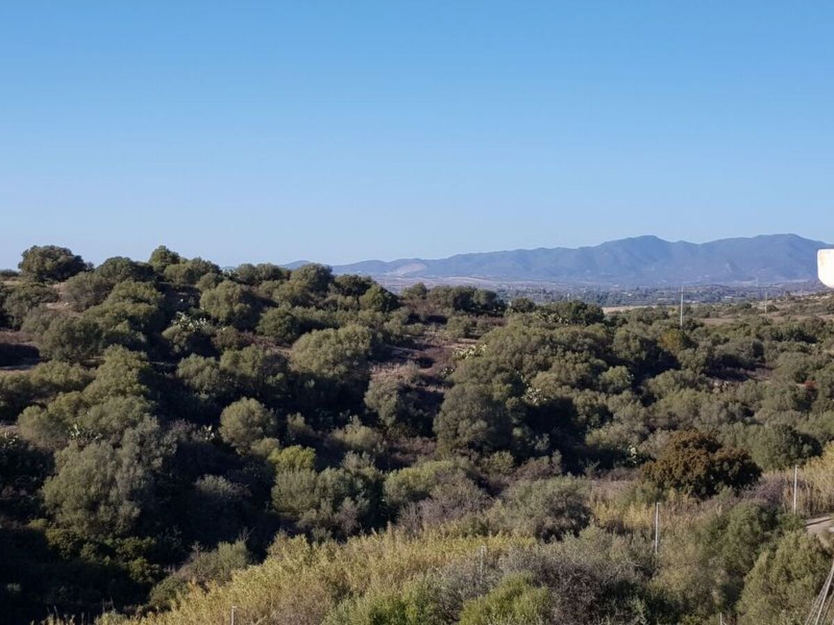 Su Niu Crobu – Appartement vue golfe à Capitana - Photo 21