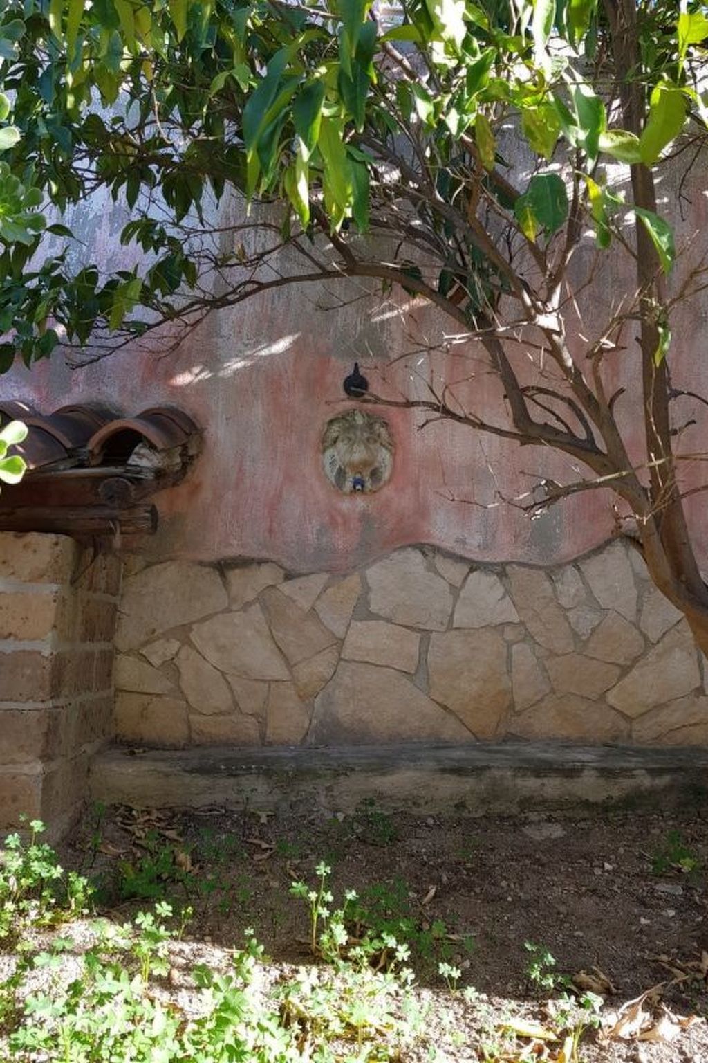 Casa Niu Crobu – Maison 6 pers., vue Golfe de Cagliari - Photo 23