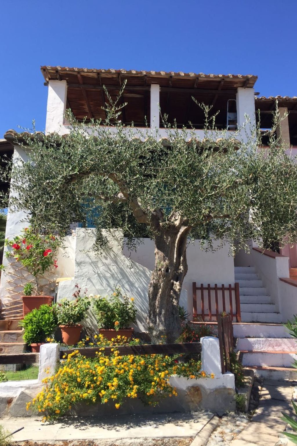 Appartement vue mer à Perd'e Sali, 400m de la plage - Photo 4