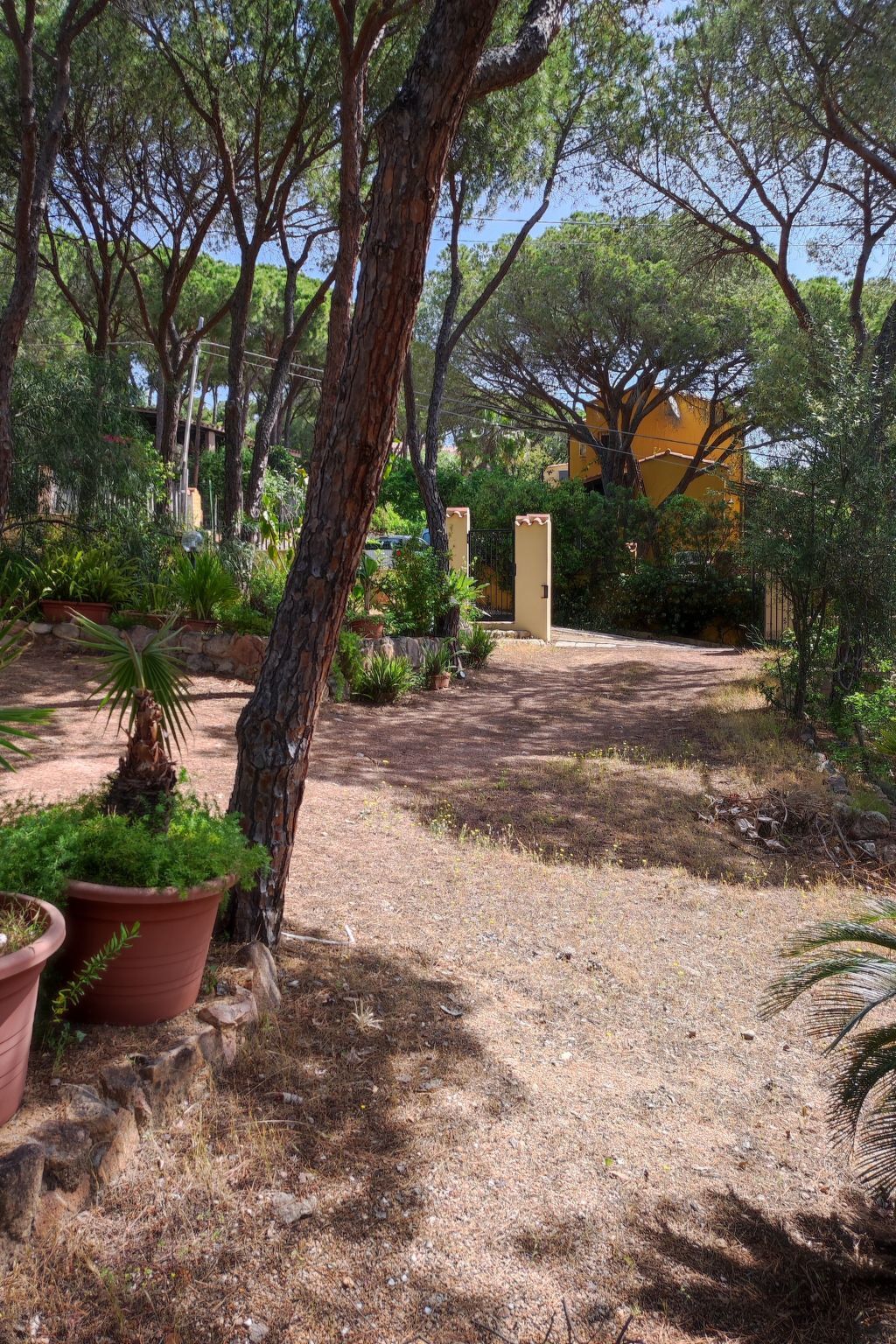 Villa Giancarla à Chia : maison 6 pers., plage à 200 m - Photo 13