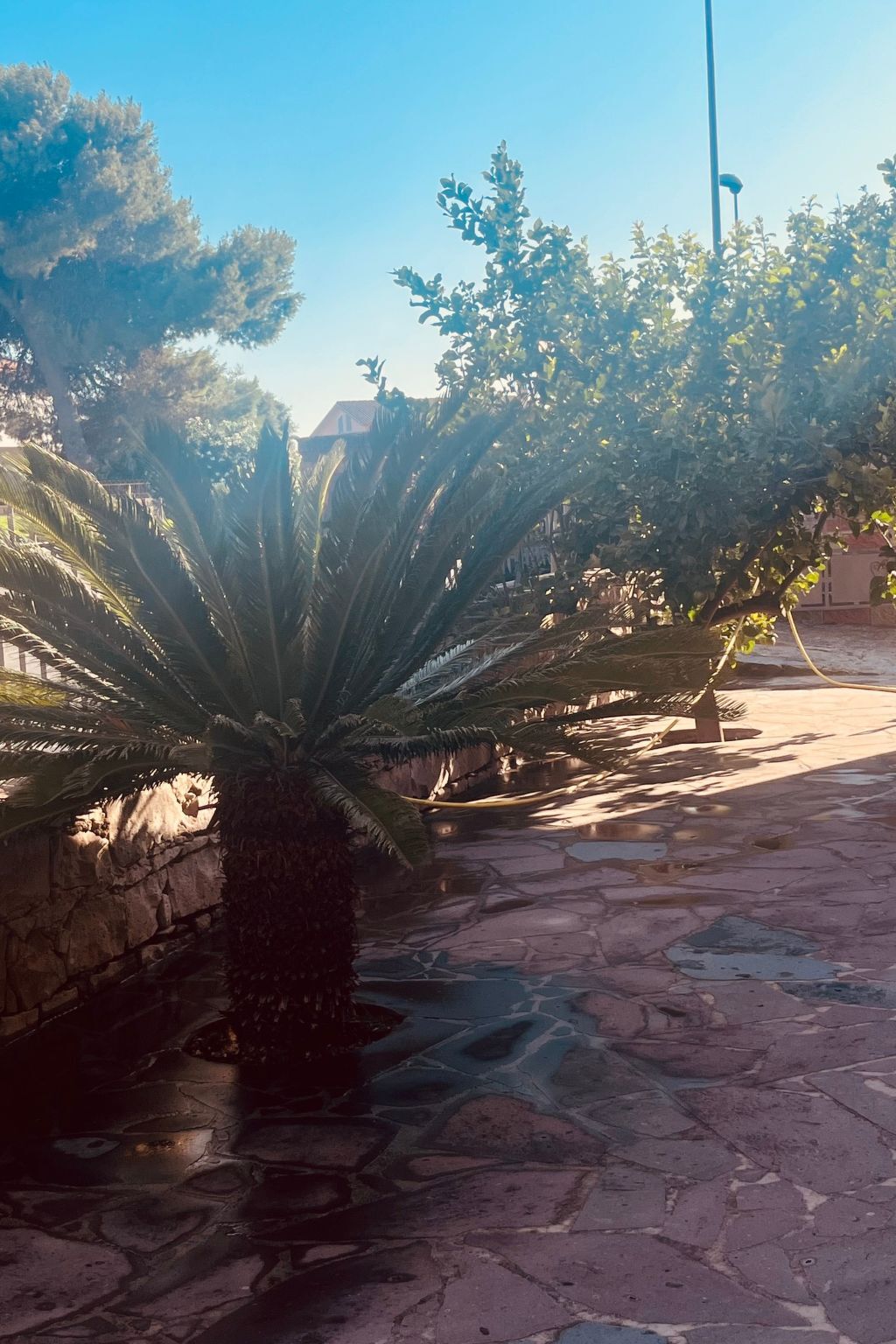 Casa Bella Vista – Villa 3 chambres à Chia - Photo 26