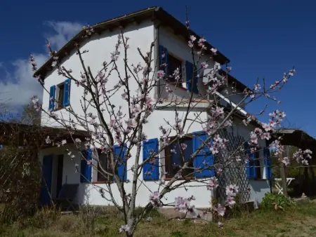 Su Sole de Barega – Maison 4 pers. jardin 2800 m² : photo 4