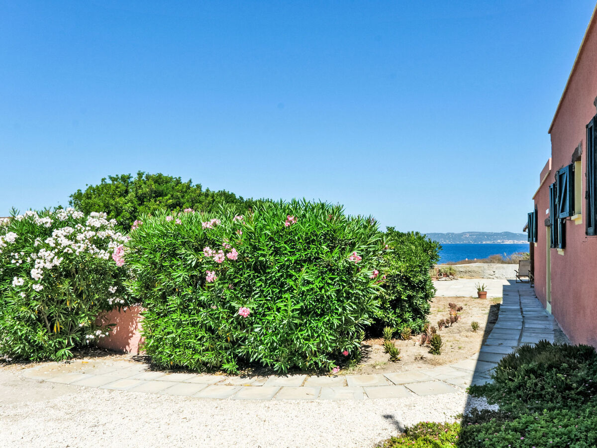 Studio Ginepro à Calasetta, vue mer et jardin - Photo 23
