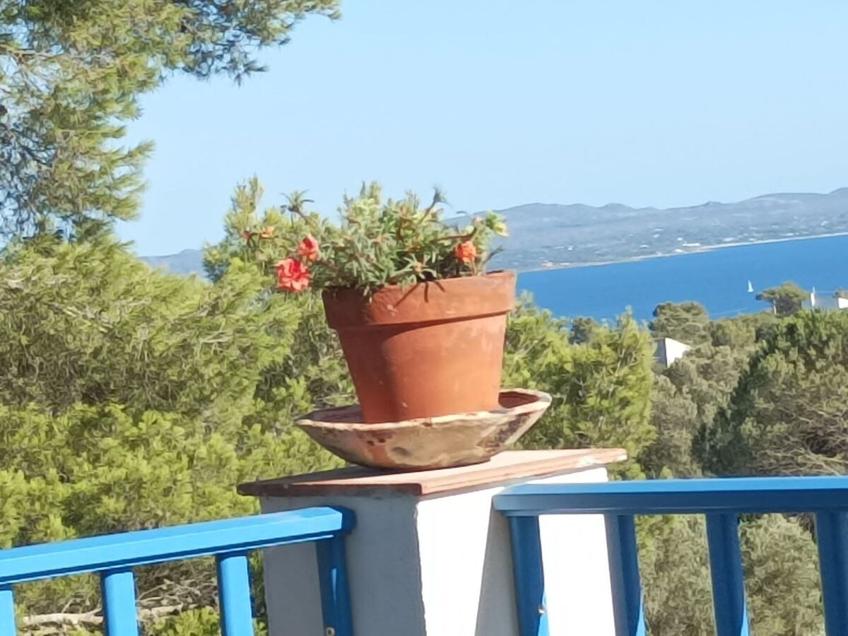 La casa dei Nonni – Maison avec jardin clos à Carloforte - Photo 11