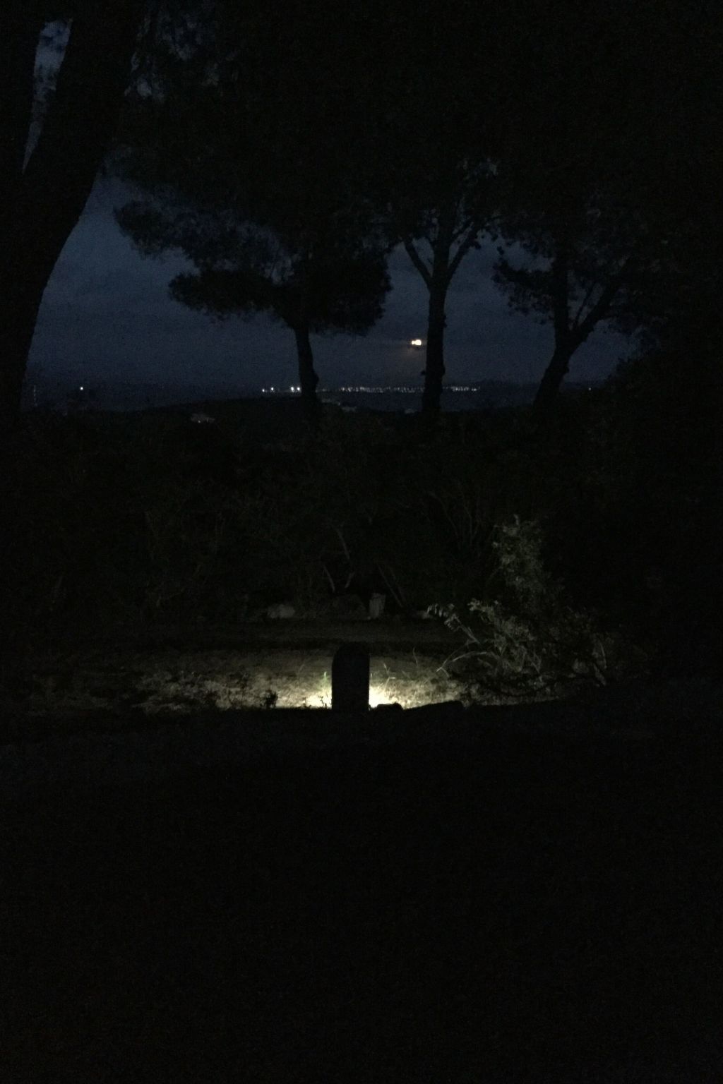 Luciana – Maison vue mer à Carloforte - Photo 36
