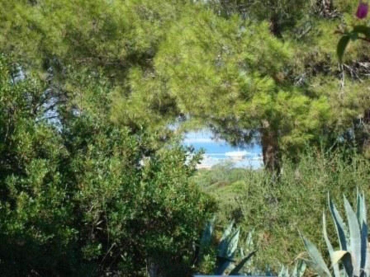 Luciana – Maison vue mer à Carloforte - Photo 44