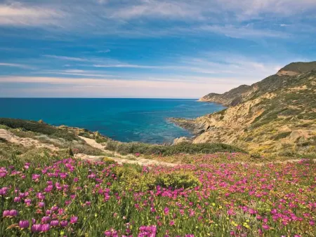 Villa Brezza Marina – Maison 4 pers. vue mer à Iglesias : photo 31