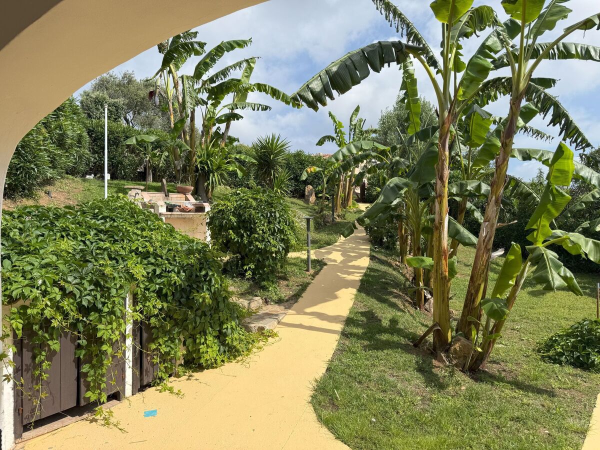 Villa I Banani – Appart. 4 pers., 3 km des plages - Photo 17