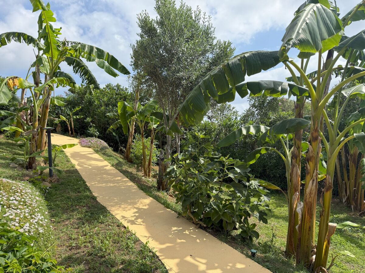 Villa I Banani – Appart. 4 pers., 3 km des plages - Photo 19