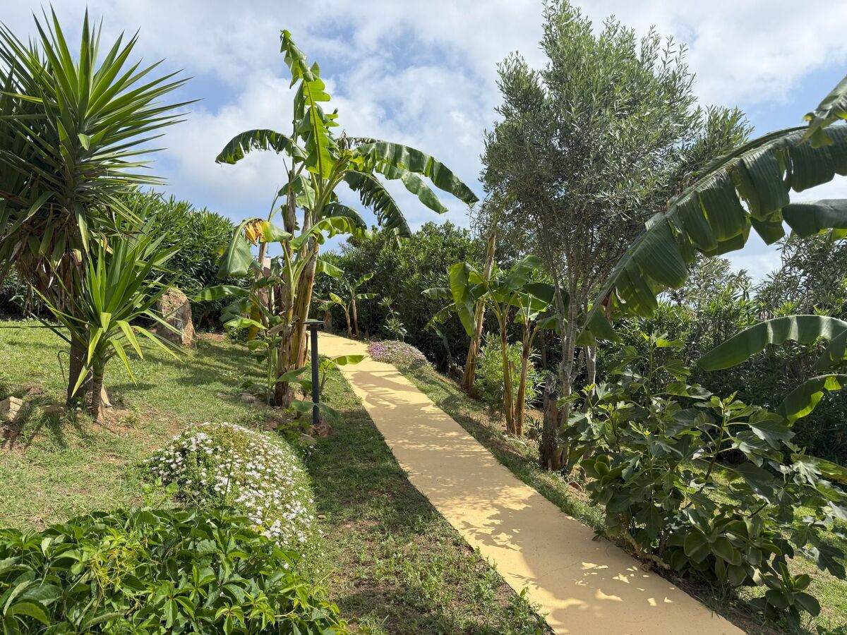 Villa I Banani – Appart. 4 pers., 3 km des plages - Photo 20