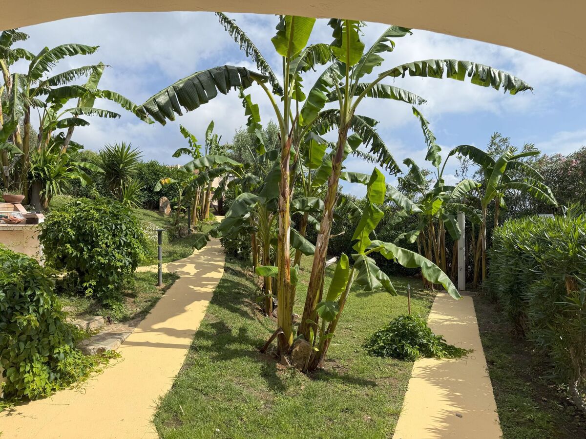 Villa I Banani – Appart. 4 pers., 3 km des plages - Photo 21