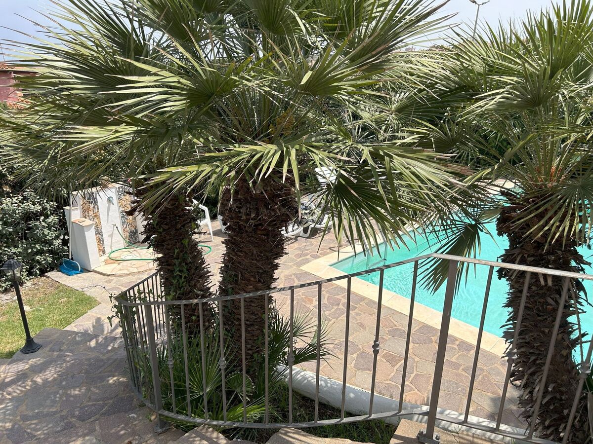 Villa Camilla à Stintino : maison 6 pers. piscine privée - Photo 41