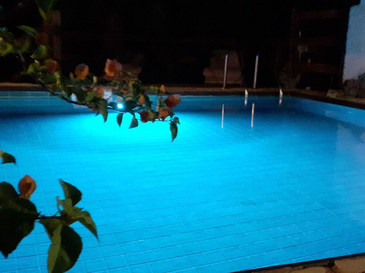 Villa rustique à Alghero, piscine en pierre et vignoble - Photo 1