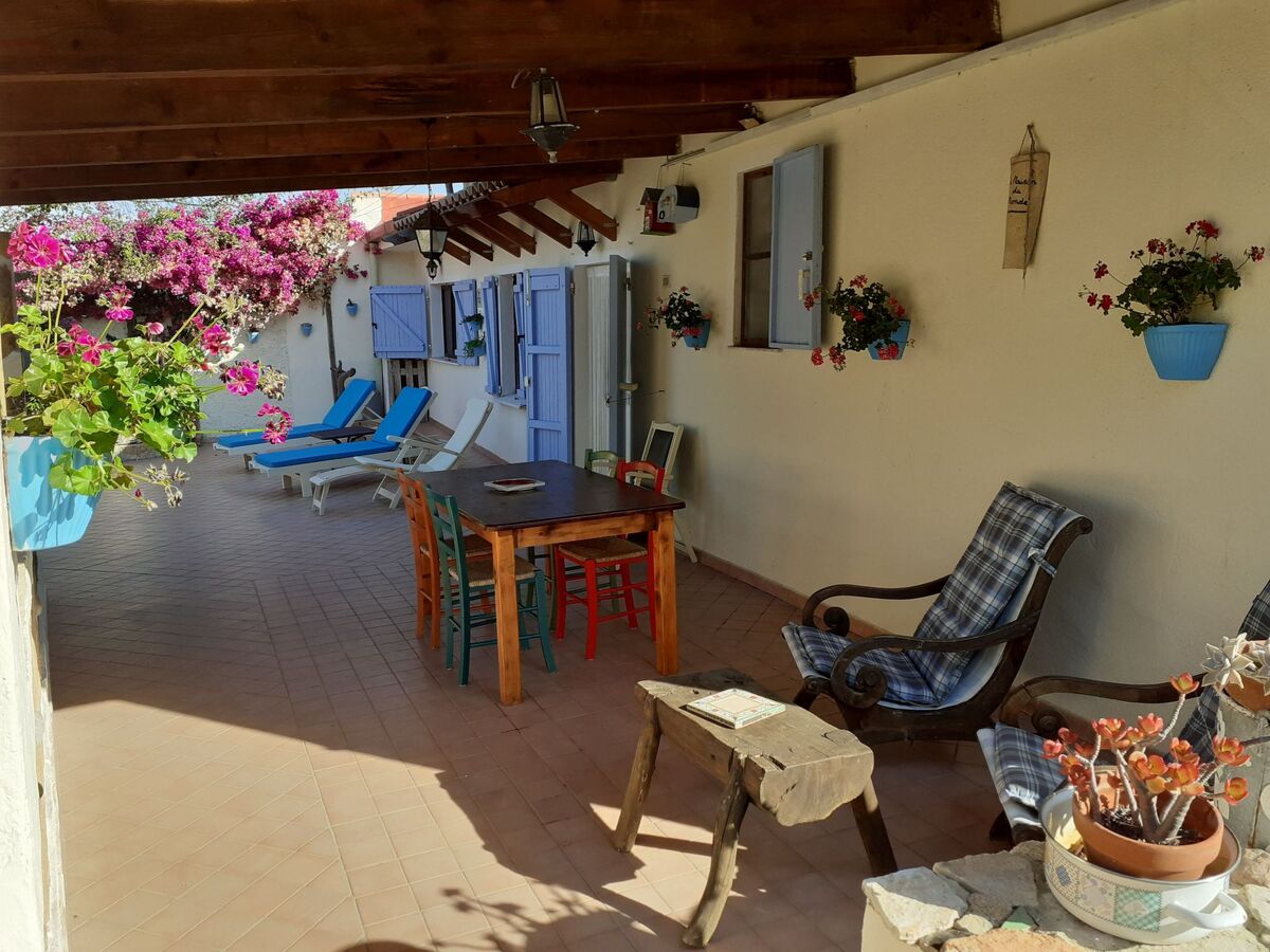 Villa rustique à Alghero, piscine en pierre et vignoble - Photo 3