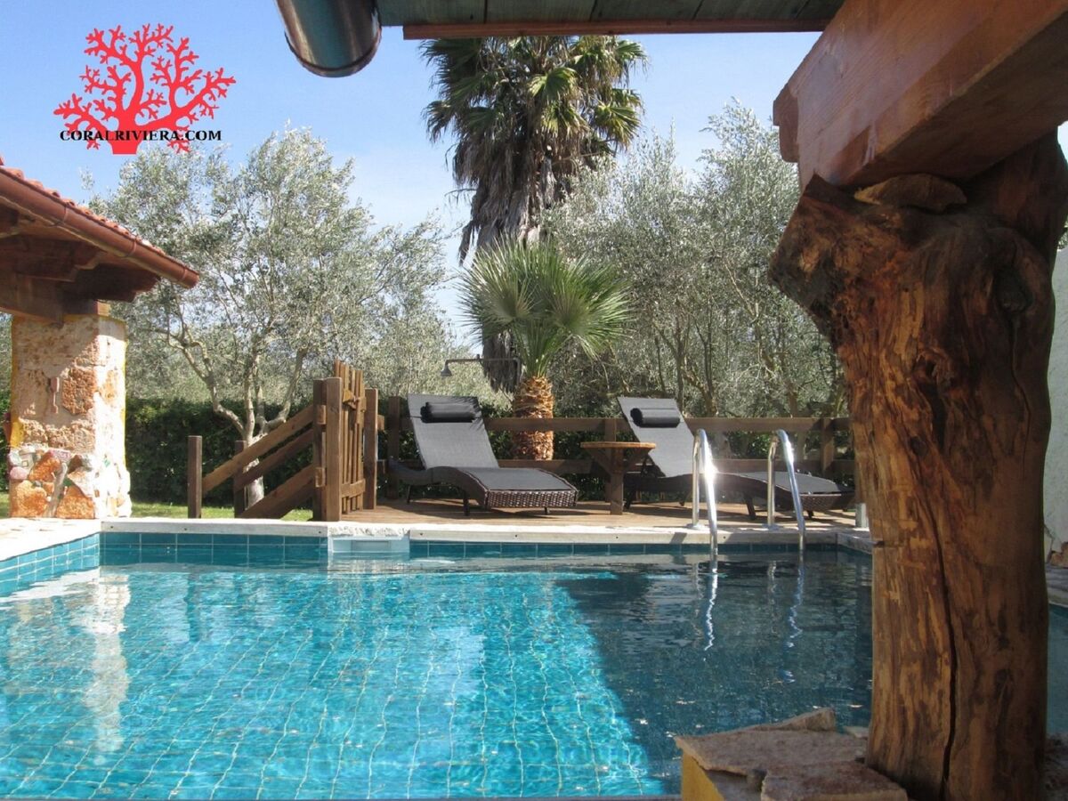 Villa rustique à Alghero, piscine en pierre et vignoble - Photo 34