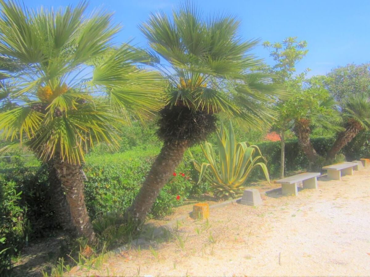Appartement 5 pers. vue mer à Capoliveri, Île d'Elba - Photo 22
