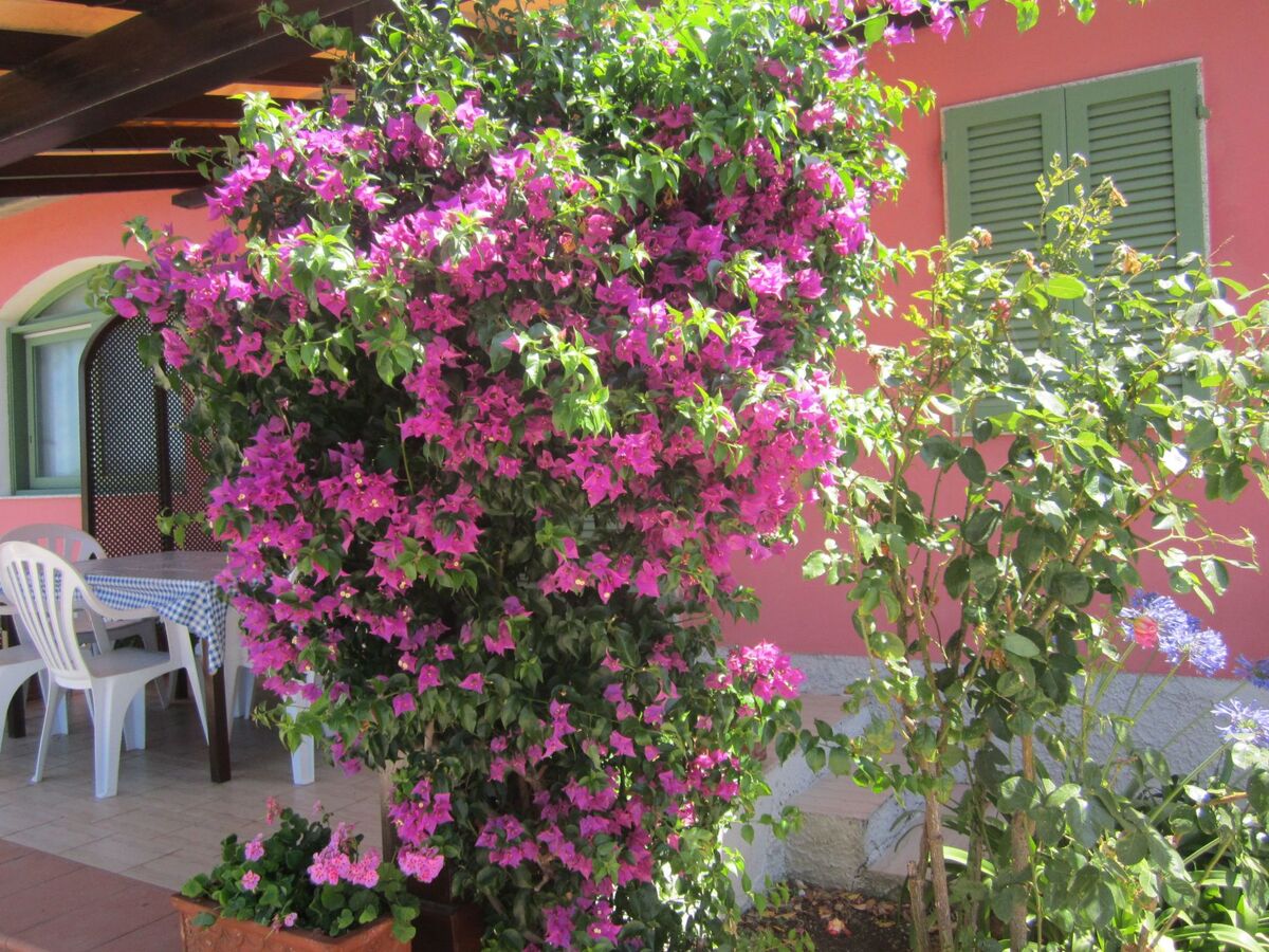 Appartement 5 pers. vue mer à Capoliveri, Île d'Elba - Photo 29