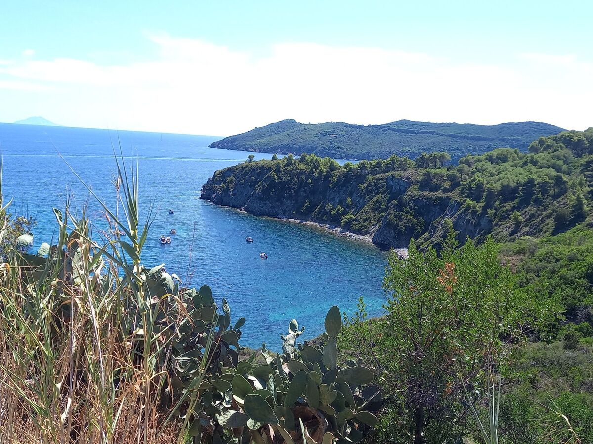 Appartement 4 personnes à Capoliveri avec vue mer - Photo 35