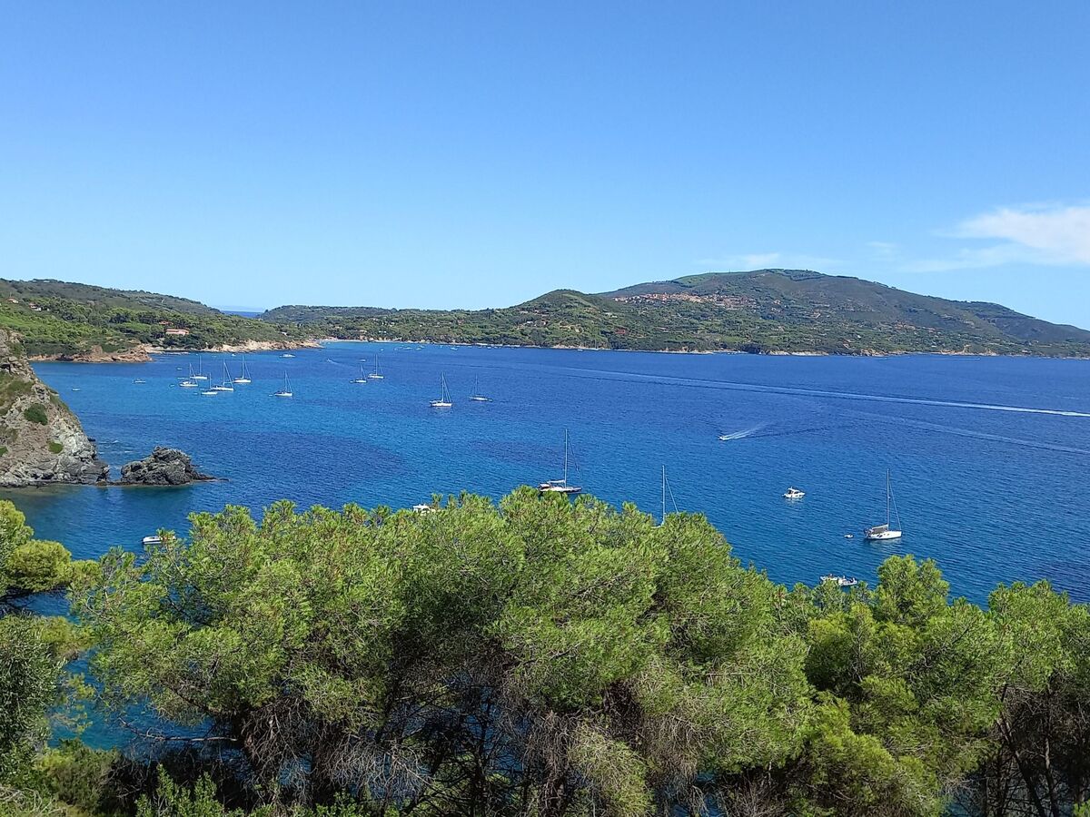 Appartement 4 personnes à Capoliveri avec vue mer - Photo 37