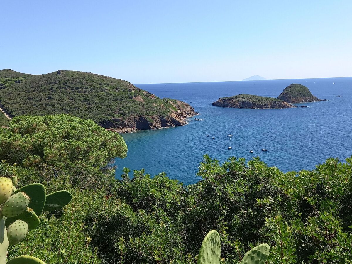 Appartement 4 personnes à Capoliveri avec vue mer - Photo 38