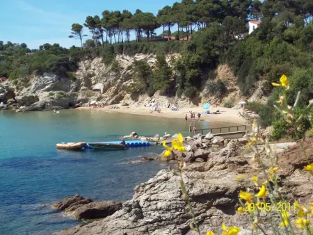 Appartement avec terrasse à 200m de la plage, Capoliveri : photo 11