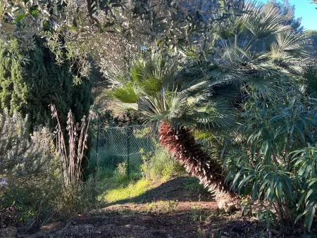 Villa Rosa dei Venti : maison 6 pers. avec jardin et vue mer : photo 15