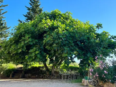 Villa Rosa dei Venti : maison 6 pers. avec jardin et vue mer : photo 17