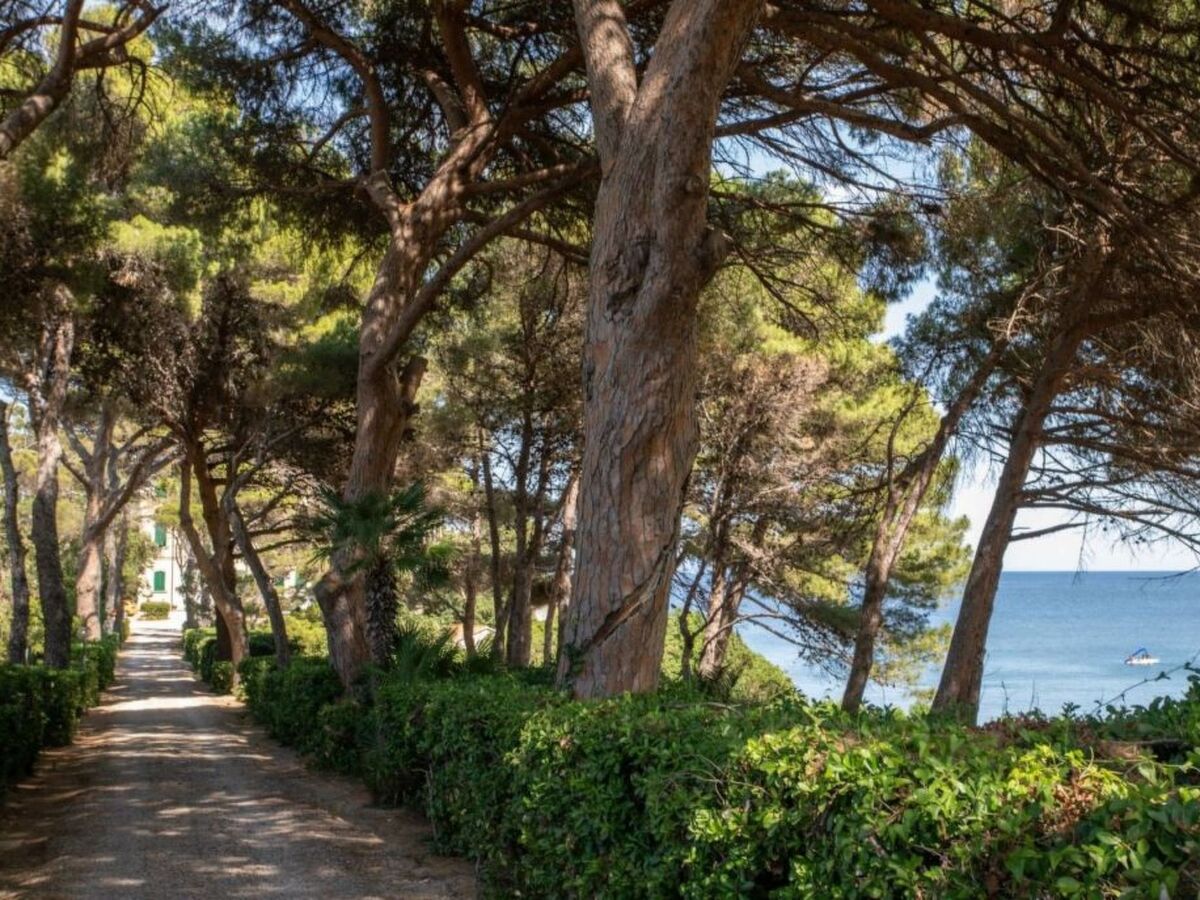 Villa Bensa Cavo - Appartement vue mer, accès plage privée - Photo 6