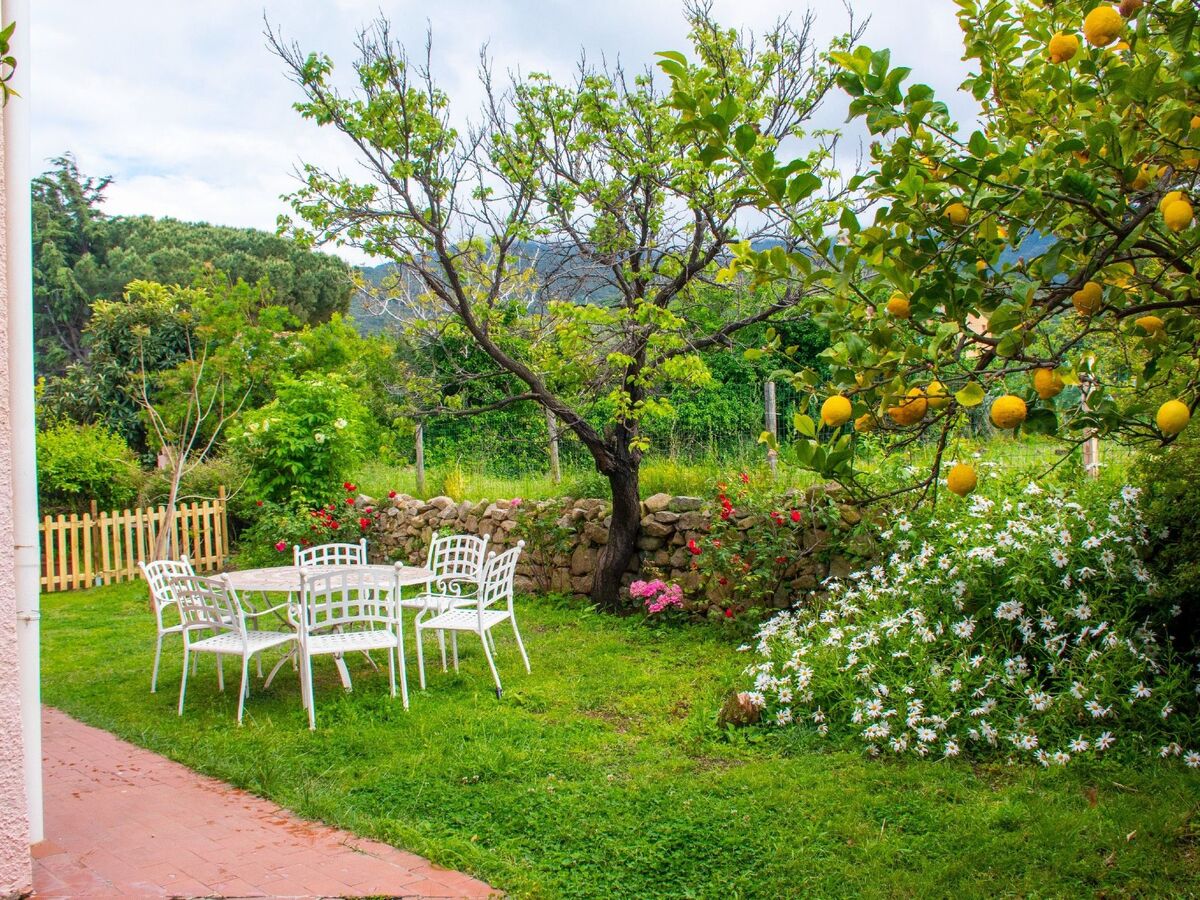 Villa Ontanelli – Appartement 8 pers., jardin privé - Photo 12