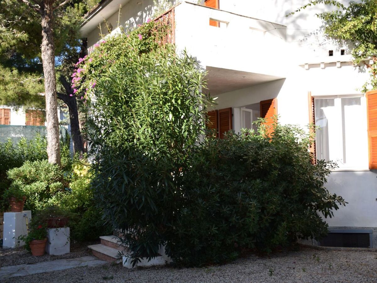 Appartement 150 m de la plage à Cavoli - Photo 28