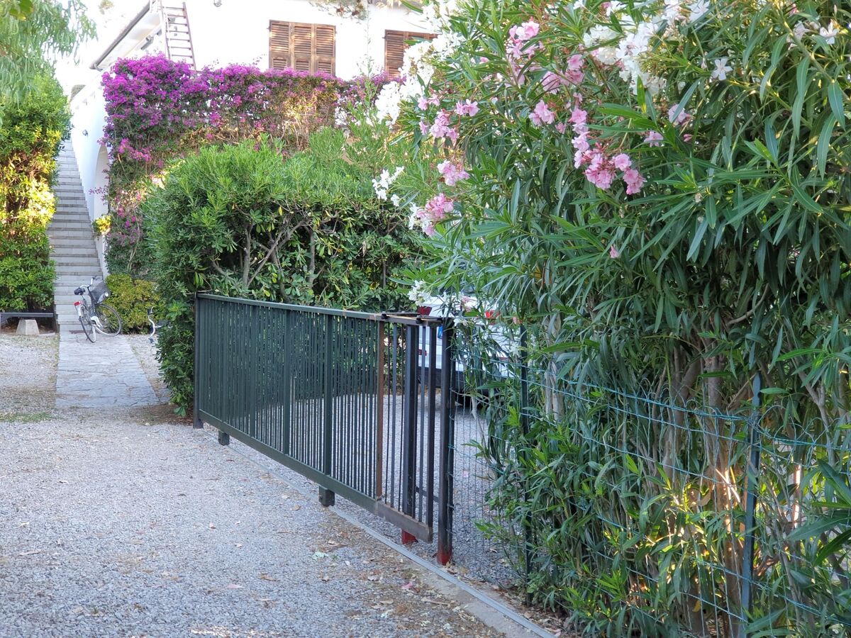 Appartement 150 m de la plage à Cavoli - Photo 36