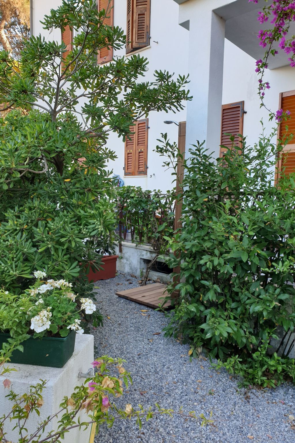 Appartement 150 m de la plage à Cavoli - Photo 37