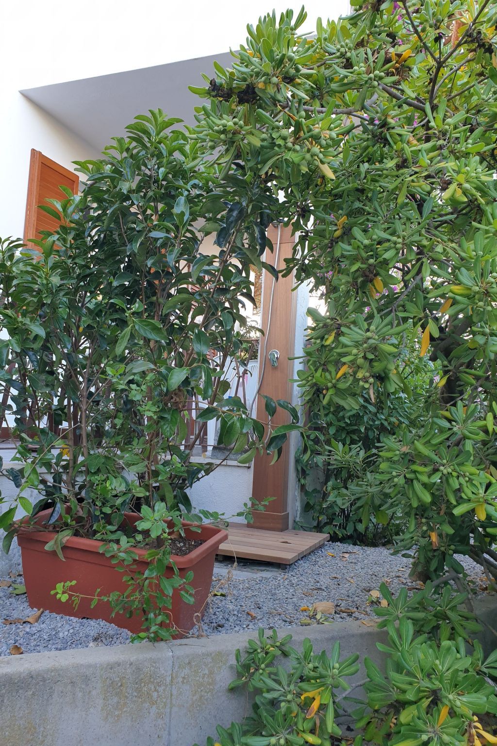 Appartement 150 m de la plage à Cavoli - Photo 40