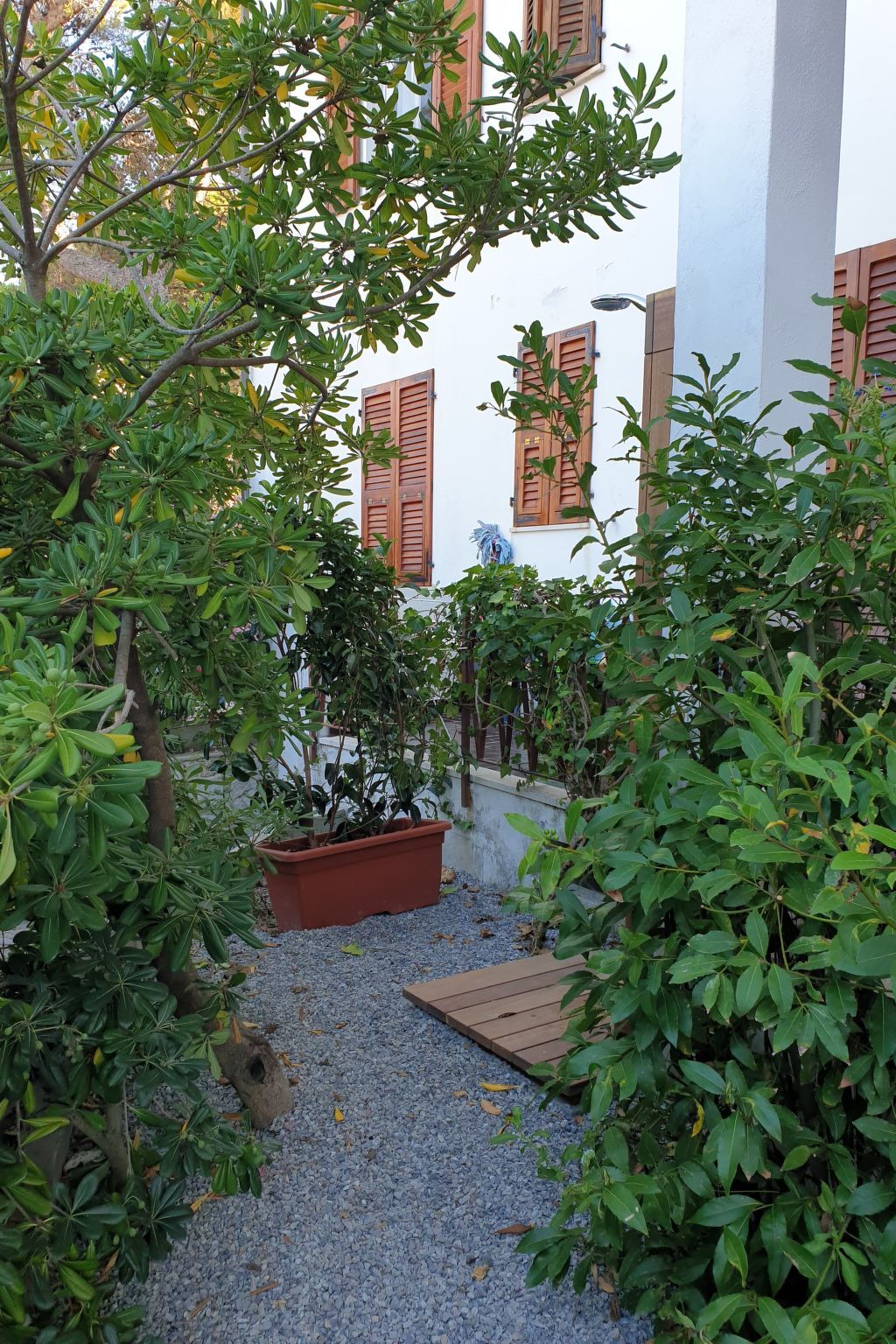 Appartement 150 m de la plage à Cavoli - Photo 41