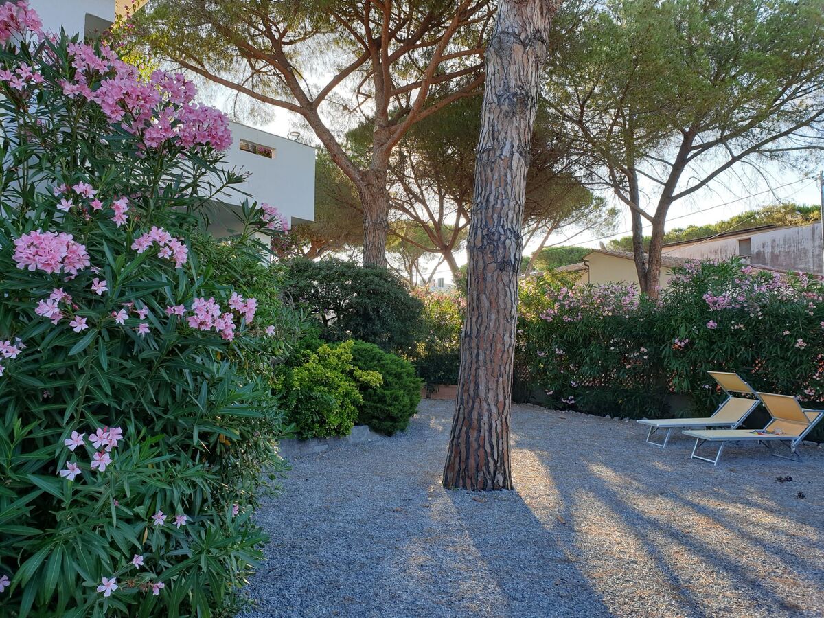 Appartement 150 m de la plage à Cavoli - Photo 44