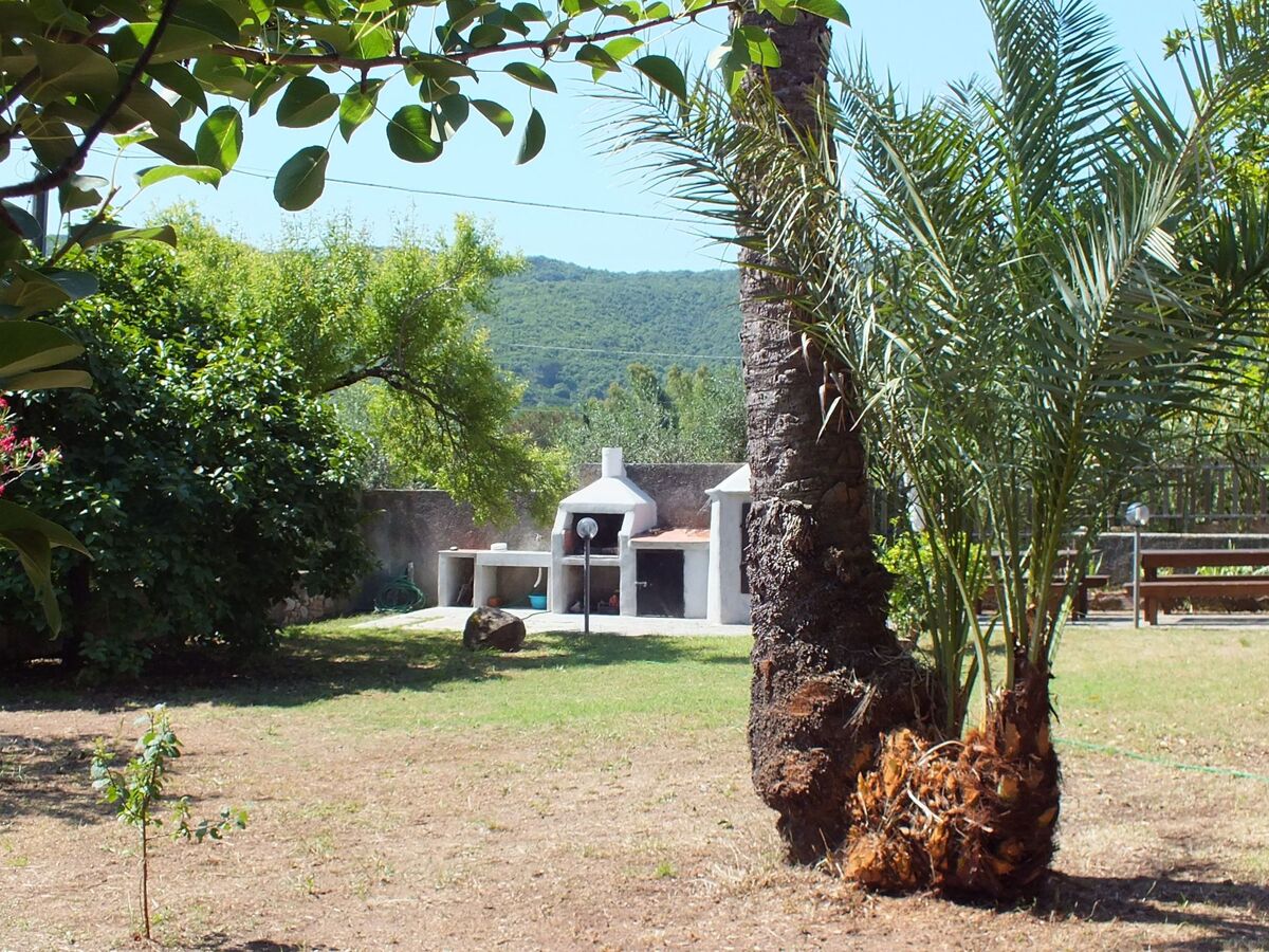 Appartement 3 places à Cavoli, 1,3 km de la plage - Photo 2