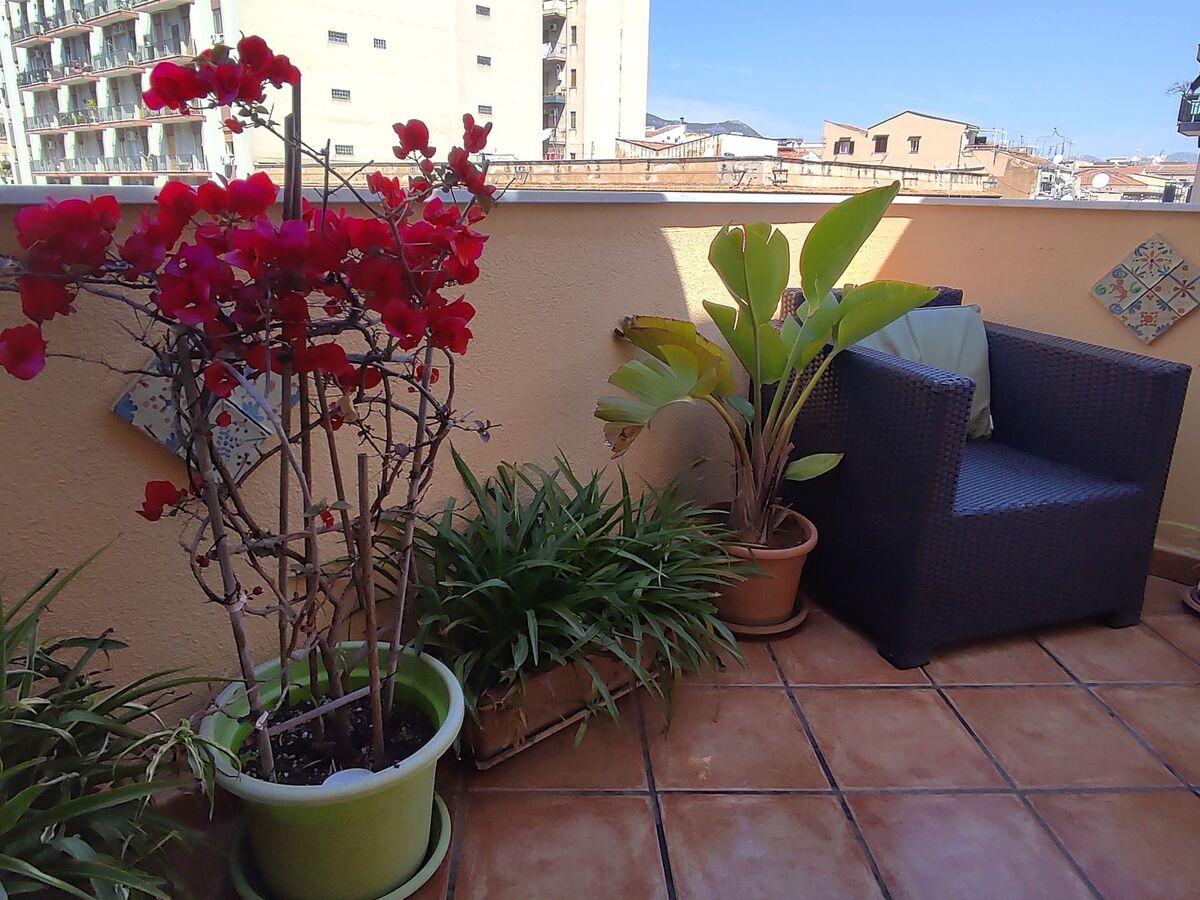 Penthouse avec terrasse fleurie à Palermo - Photo 5